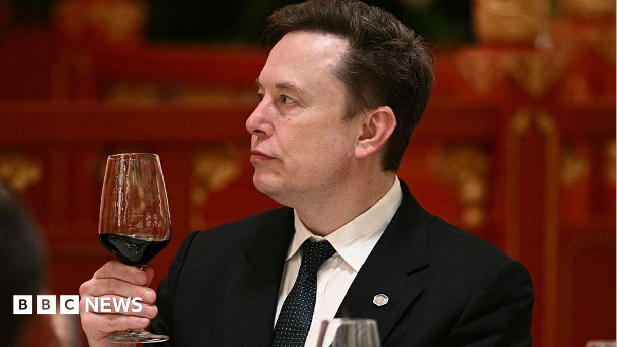 ‘Let’s enjoy the ride’ says Elon Musk, as AI fears mount
